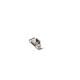 PIED DE BICHE 2